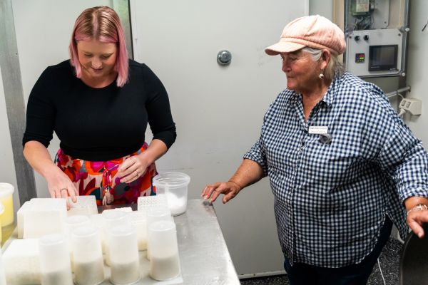 Cheese Making Eat Local Month