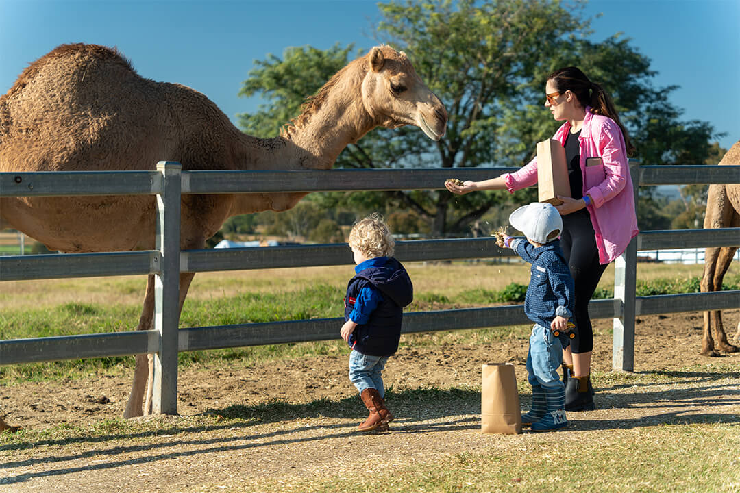 Destination Scenic Rim Farm Gate Trail