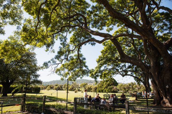 Scenic Rim Farm Shop and Cafe Weekend Itinerary