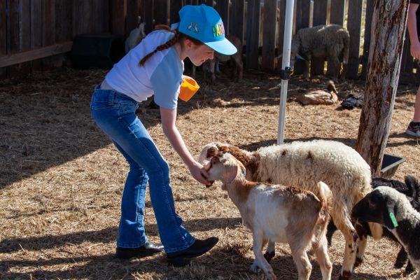 Scenic Rim Farming Expo Eat Local Month