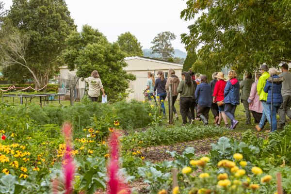 Growing Abundance Scenic Rim Eat Local Month Weekend Itinerary 