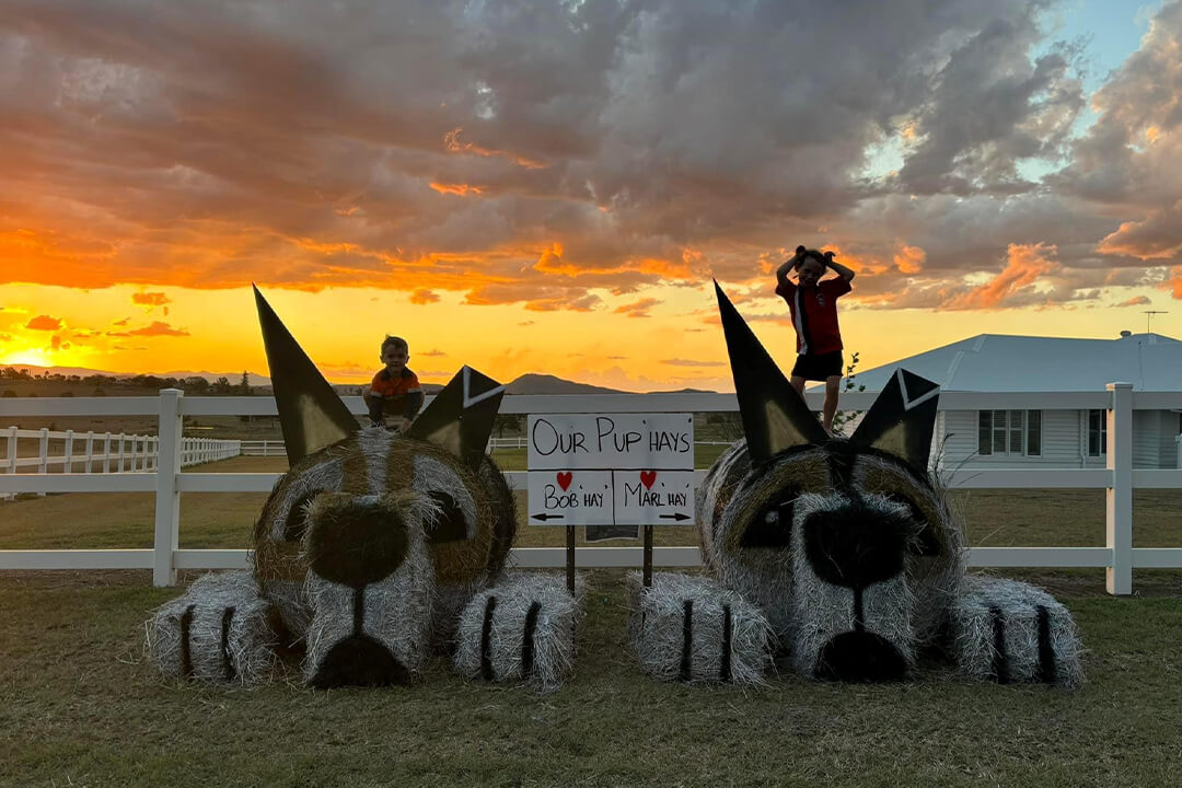 Kalbar Country Day Hal Bale Trail