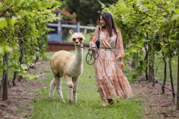 Picnic and Alpaca Walk Eat Local Month 
