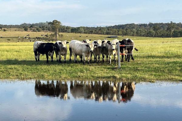 Speckles on the Teviot Scenic Rim Eat Local Month Weekend Itineraries 