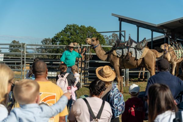 Tour, Taste and Camel Encounter Eat Local Month 