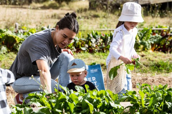 Veggie Picking with the Farmer Weekend Itinerary