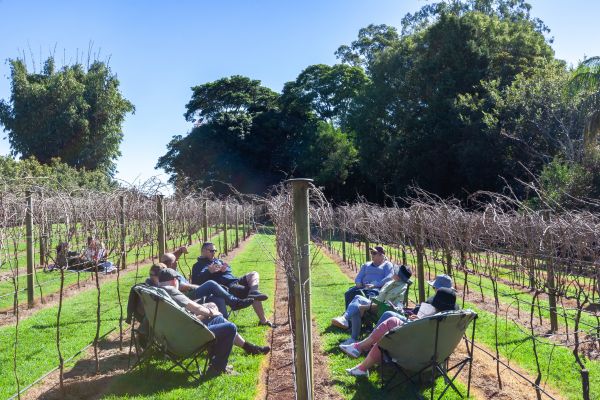 Witches Falls Winery Weekend Itinerary Eat Local Month 