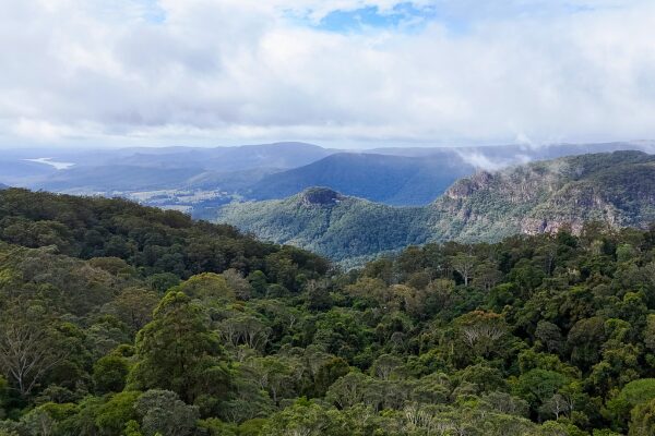 Eat-Local-Month-Binna-Burra