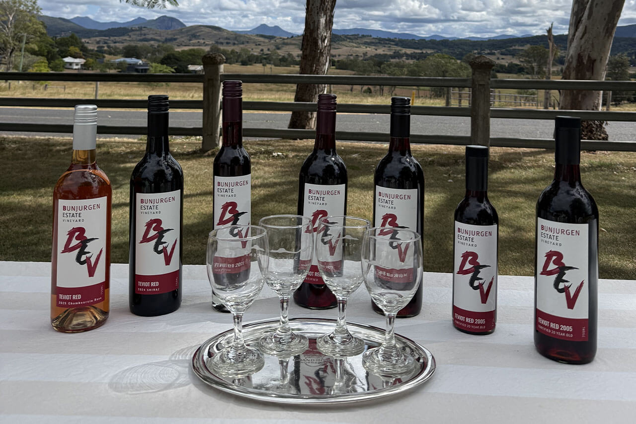 chocolate-cheese-and-wine-in-the-vineyard-eat-local-month