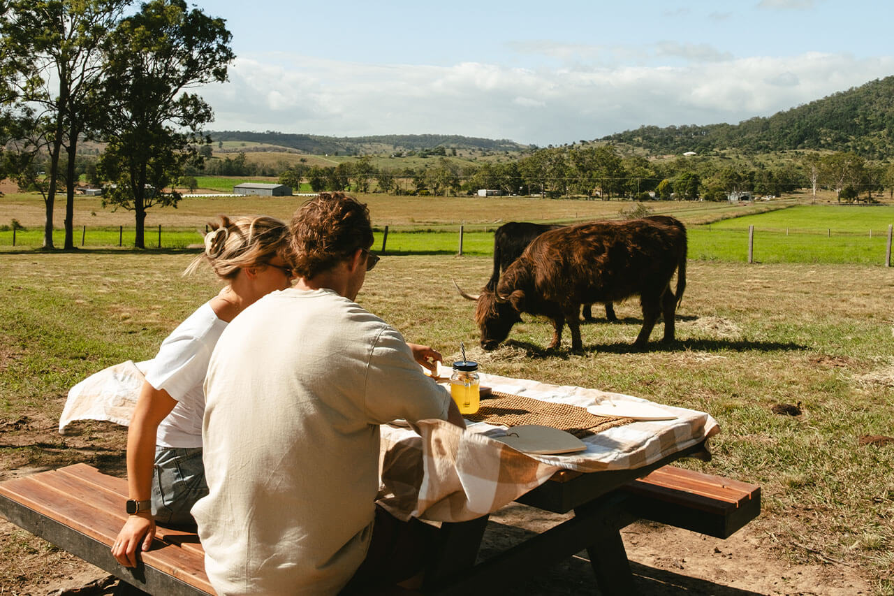 farm-picnic-with-highland-cattle-eat-local-month