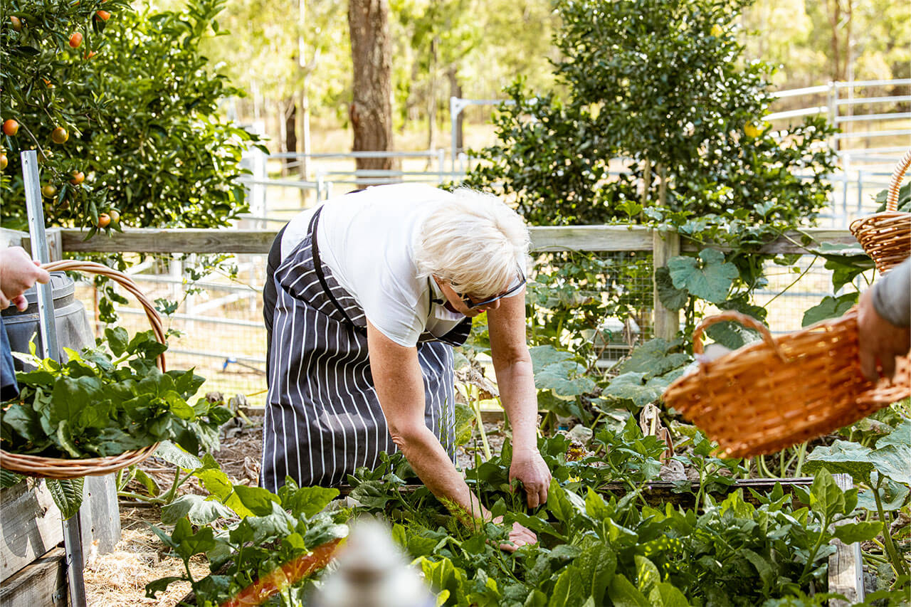 hidden-harvest-a-garden-led-culinary-journey-eat-local-month