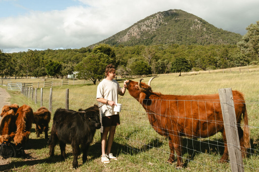 highlands-farm-experience-and-lunch-eat-local-month