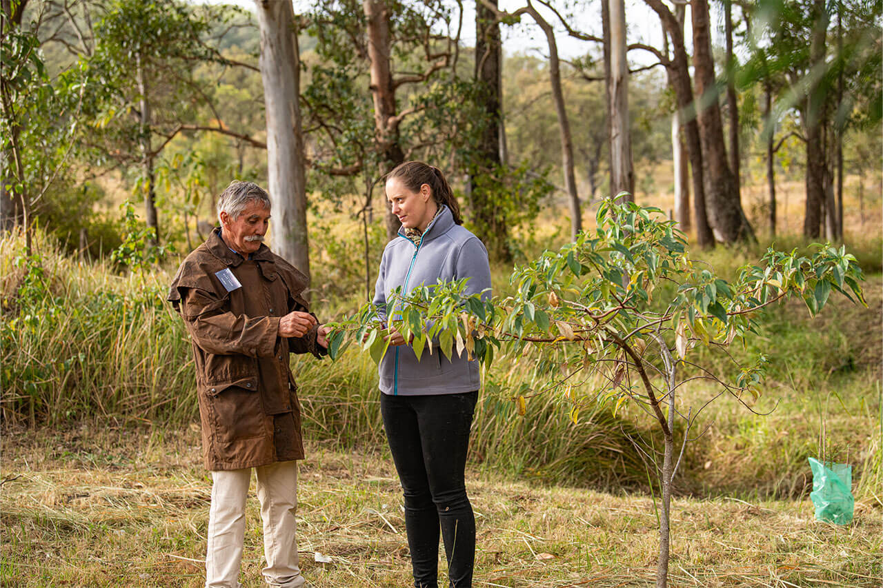 native-rainforest-orchard-trek-and-taste-eat-local-month