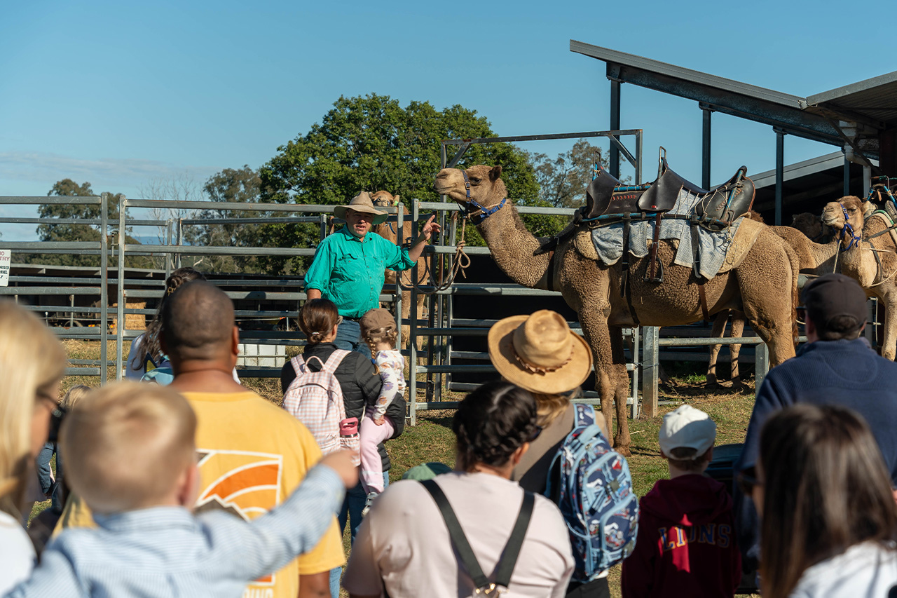 tour-taste-and-camel-encounter-eat-local-month