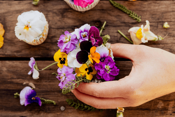 Edible Flower Picking and Cupcake Decorating at Elderflower Farm-2