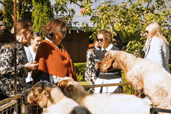 Next-Generation-Home-Grown-Lunch-at-Towri-Sheep-Cheese