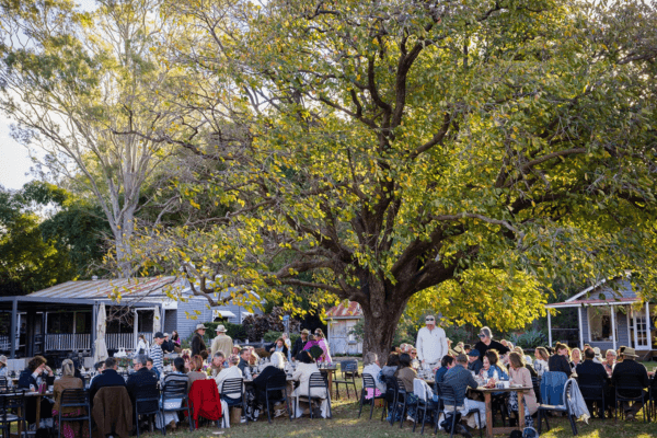 Progressive-Paddock-at-Scenic-Rim-Farm-Shop-Cafe