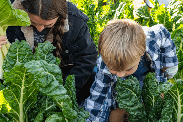 Veggie Picking with the Farmer at Valley Pride Produce